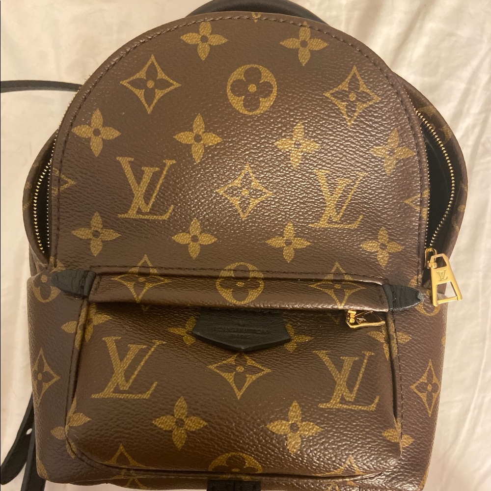 Louis Vuitton Palm Springs Mini Backpack